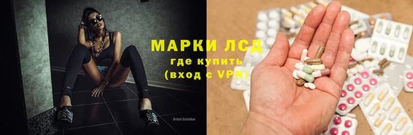 мяу мяу мука Абаза