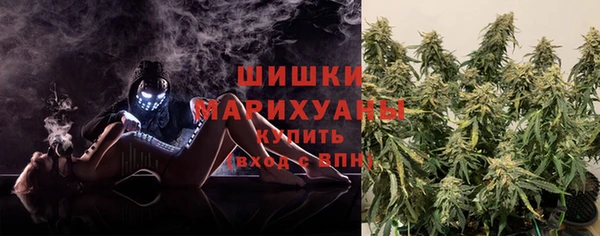 ГАЛЛЮЦИНОГЕННЫЕ ГРИБЫ Абдулино