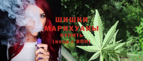 мяу мяу мука Абаза
