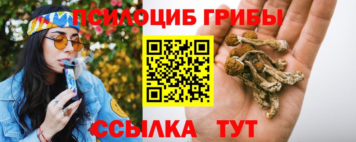 Псилоцибиновые грибы Psilocybine cubensis Зеленодольск