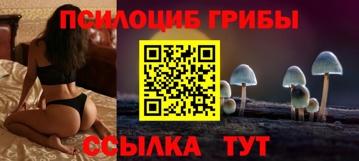 Зеленодольск  Галлюциногенные грибы Cubensis  Вход с VPN 